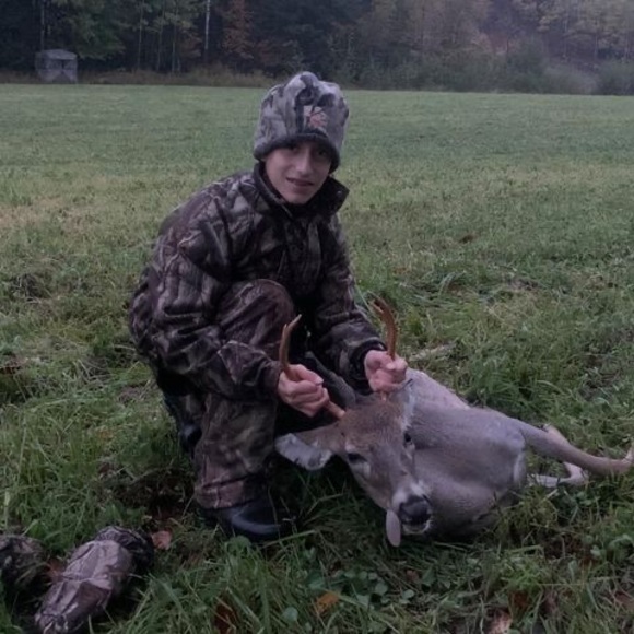 Meet your Posher, William - Picture 1 of 1